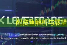 配资鱼解析与展望-配资炒股网