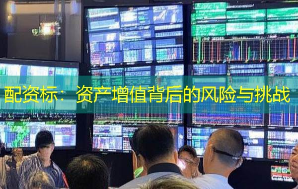 配资标：资产增值背后的风险与挑战