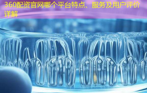 360配资官网哪个平台特点、服务及用户评价详解