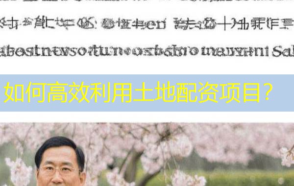 如何高效利用土地配资项目? 如何高效利用土地配资项目?